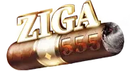 ZIGA555